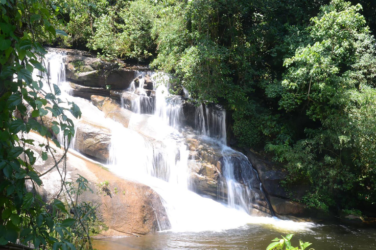Aventure en Jeep à Paraty : sentier écologique, distillerie et baignade dans la rivièreAventure en Jeep à Paraty : parcours écologique, distillerie et baignade dans la rivièr
