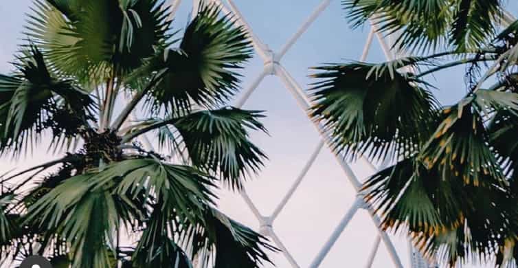 Singapore: SkyHelix Sentosa Ticket photo 7