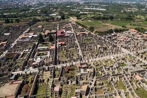 Pompei: Tour und Transfer von Neapel