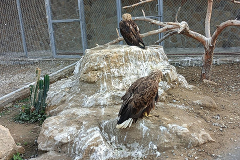 From Baku: Gala State Historical Reserve and Zoological Park