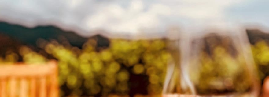 Dégustation de vin autour de l'Île-Rousse et de Calvi avec transfert