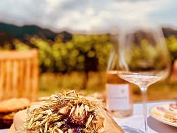 Tour privato del vino intorno all'Ile rousse e a Calvi con trasporto