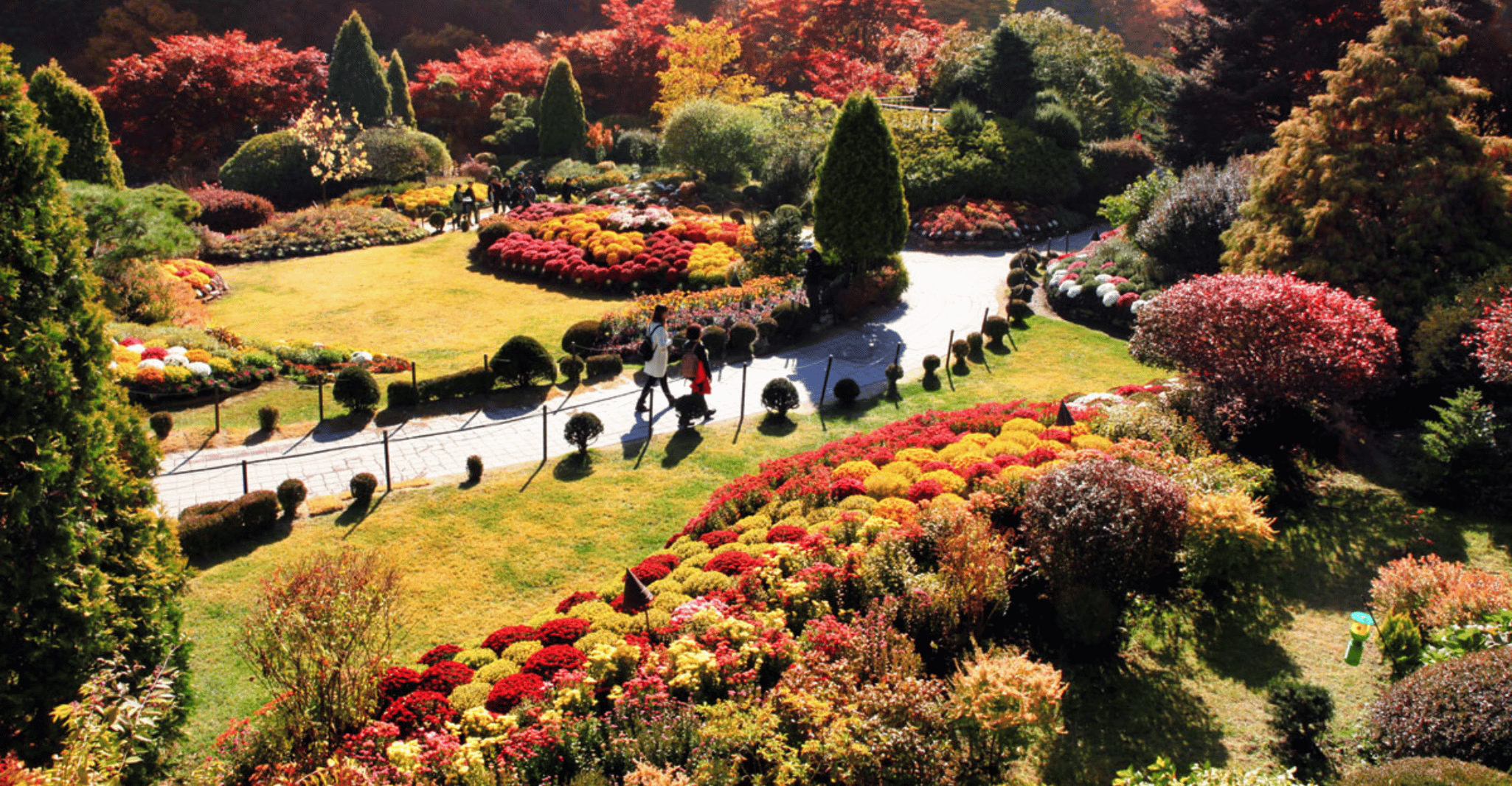 From Seoul, Nami Island, Korean Garden & Rail Bike Day Trip - Housity