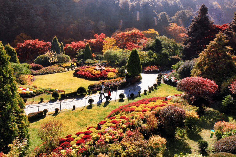 Von Seoul aus: Nami Island, Koreanischer Garten und Tagestour mit der Bahn