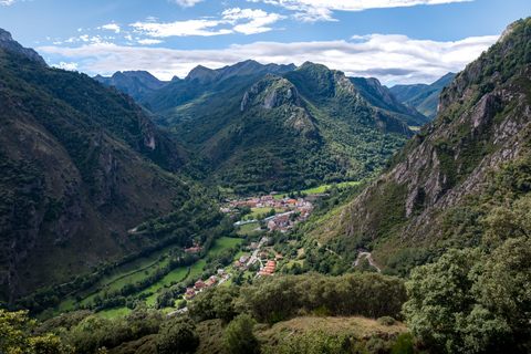 From Oviedo and Gijón: Day Trip to the Somiedo Lakes and the Senda del Oso From Gijón in Spanish: Trip to the Somiedo Lakes and Senda del Oso
