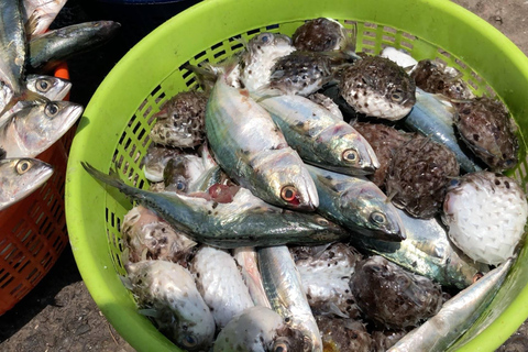 Cozinha costeira de Bombaim: Da rede de pesca ao prato cheio de saborCozinha costeira de Bombaim: Da rede de pesca ao prato saboroso