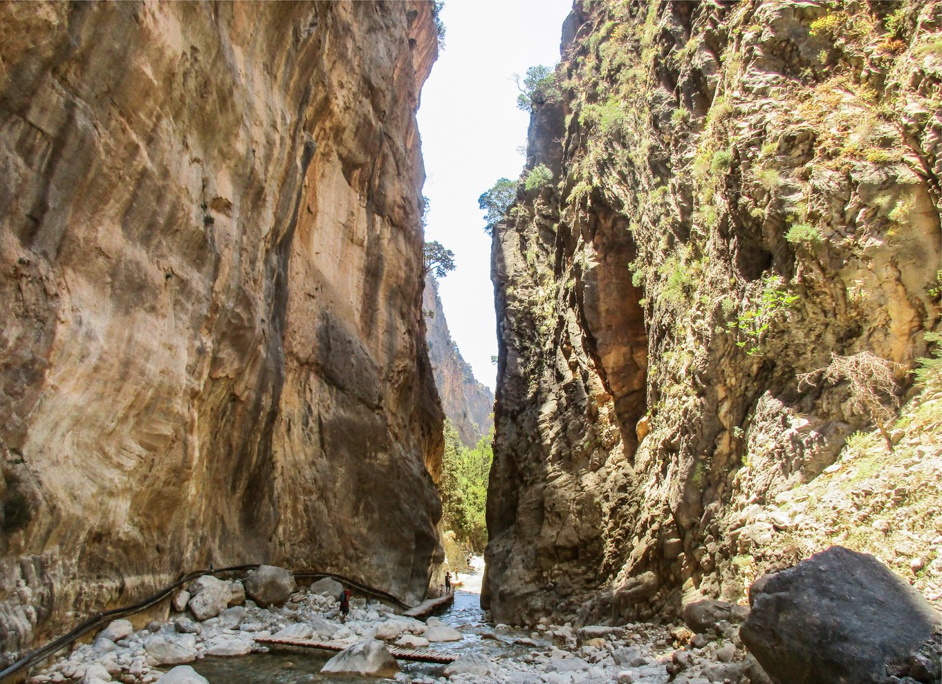 Fra Chania: Heldagsudflugt i Samaria-kløften med guide