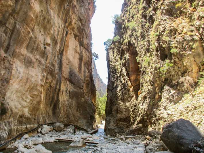Depuis La Canée : randonnée d'une journée dans les gorges de Samaria