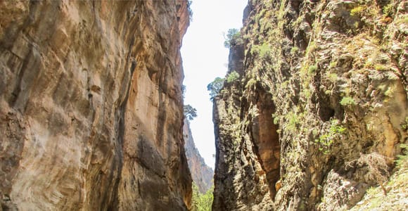 Von Chania: Ganztägige Wanderung durch die Samaria-Schlucht mit Guide