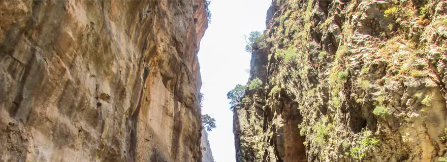Au départ de La Canée : excursion d'une journée dans les gorges de Samaria avec guide