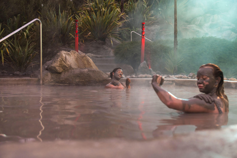 From Rotorua: HELL&#039;s GATE Geothermal MUD BATH Half Day Tour