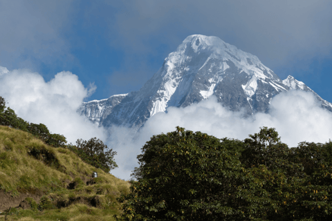 Pokhara: Mardi Himal Trek 6 Days Guide and Permits Only