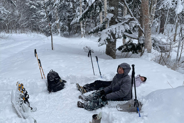 Shikotsu-Toya National Park: Guided Snowshoe Hike and Onsen Shikotsu-Toya National Park: Guided Snowshoe Hike and Onsen.