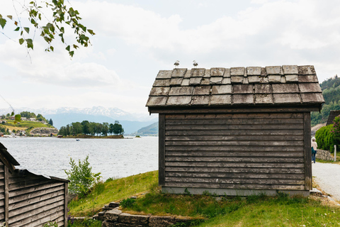 Bergen: Waterfalls of Hardangerfjord Guided Tour