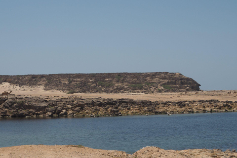 Salalah: Private East Salalah Tour — Half or Full Day Full day 4x4 (4)