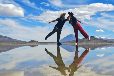 Arequipa: Salinas Lagoon, Flamingos, Vicuñas & ATV Adventure