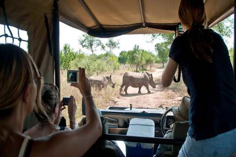 Nairobi: 2-dniowe safari na ranczu Solio z zakwaterowaniem