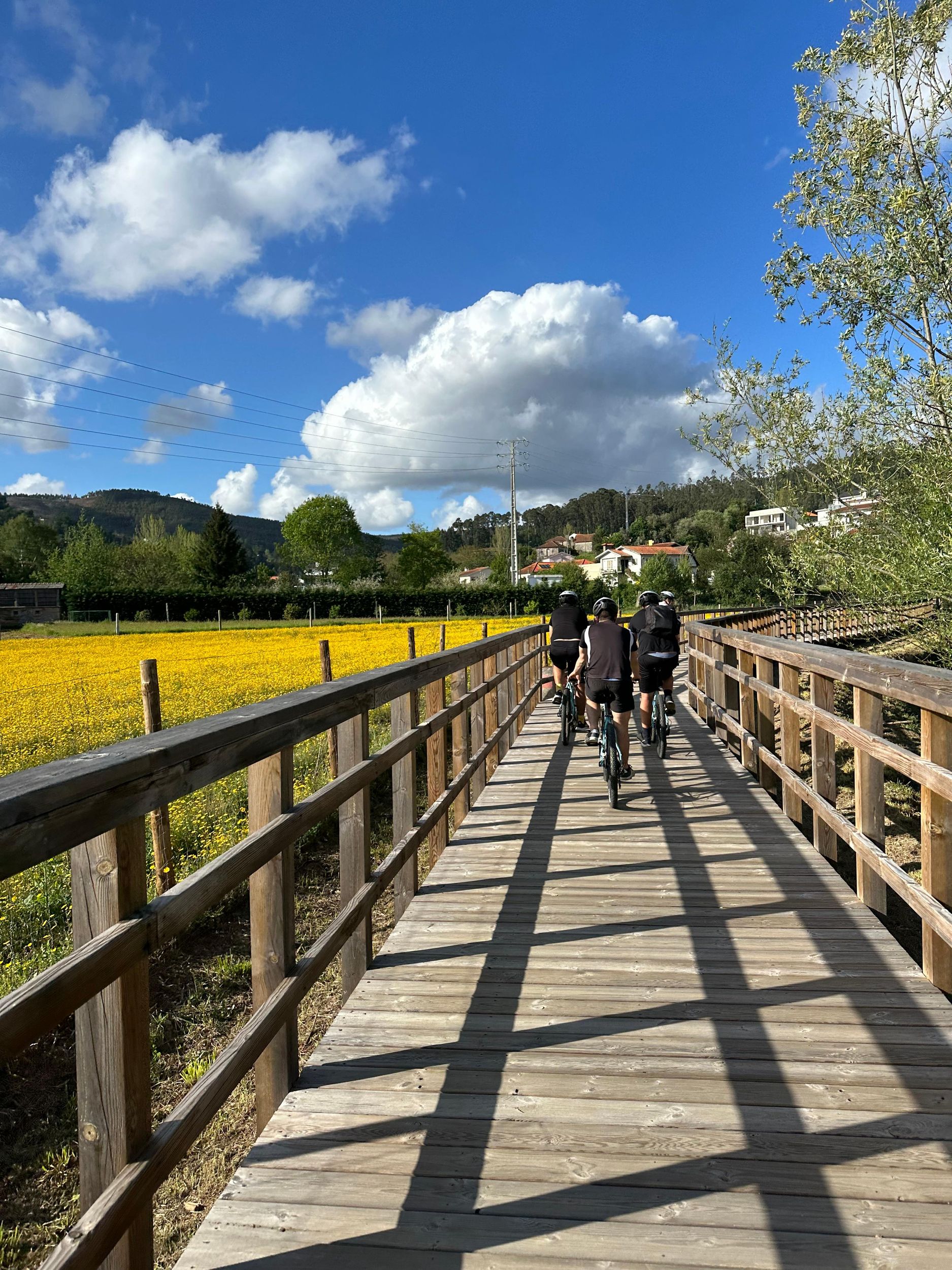 Von Porto: Radtour im Geopark Arouca, Ecovia do Arda (E-BIKE-Option)