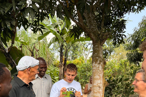 From Kampala: Ewaffe and Ndere Cultural Experience Day Tour