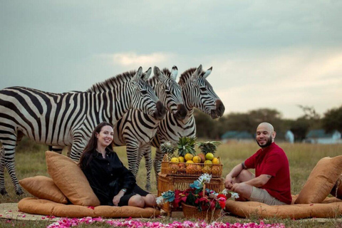 Arusha: 1 Day Serval Wildlife-Petting Lion & Feeding Animals