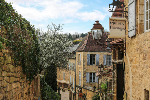 Bordeaux: Dordogne Valley Private Shore Excursion