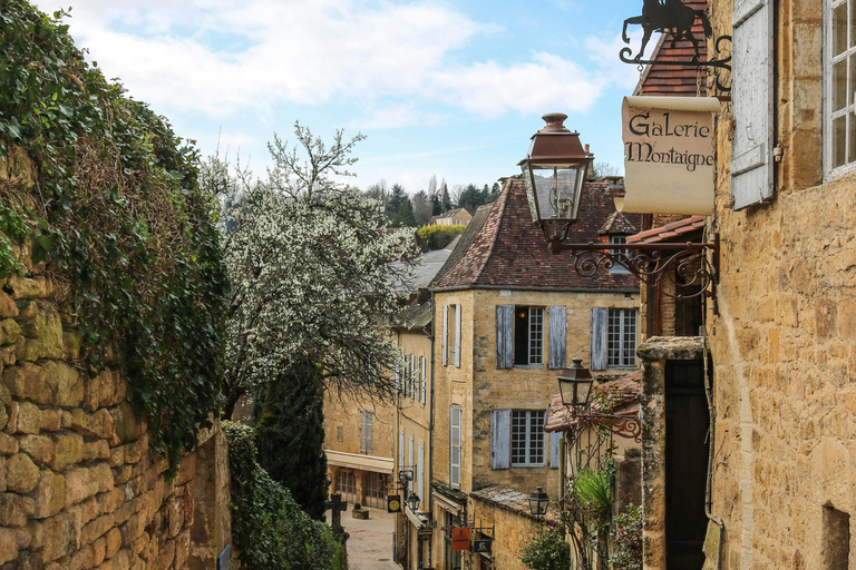 Bordeaux: Dordogne Valley Private Shore Excursion