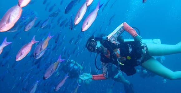 Cartagena: 2 Tanks Dive Plan For CERTIFIED DIVERS
