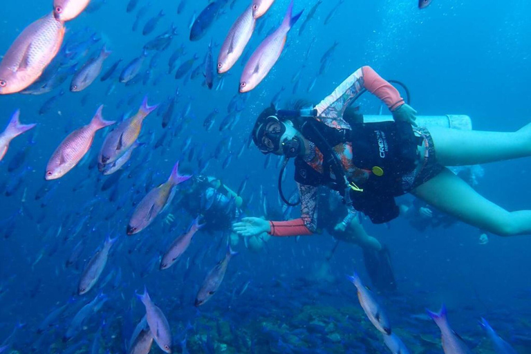 Cartagena: Plan de Buceo de 2 Tanques Para Buceadores CERTIFICADOS