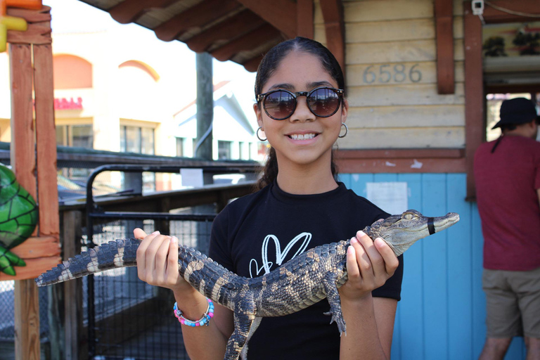 Orlando: Hands-On Alligator Encounter Experience Orlando: Hands-On Alligator Group Baby Gator Pass