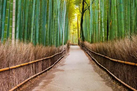 Endagstur till Kyoto, Nara, Fushimi Inari-helgedomen och Arashiyama