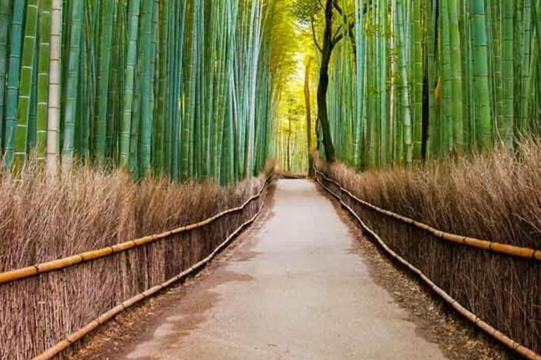 Visita de um dia a Quioto, Nara, Santuário de Fushimi Inari e ArashiyamaExcursão de um dia a Quioto, Nara, Santuário de Fushimi Inari e Arashiyama