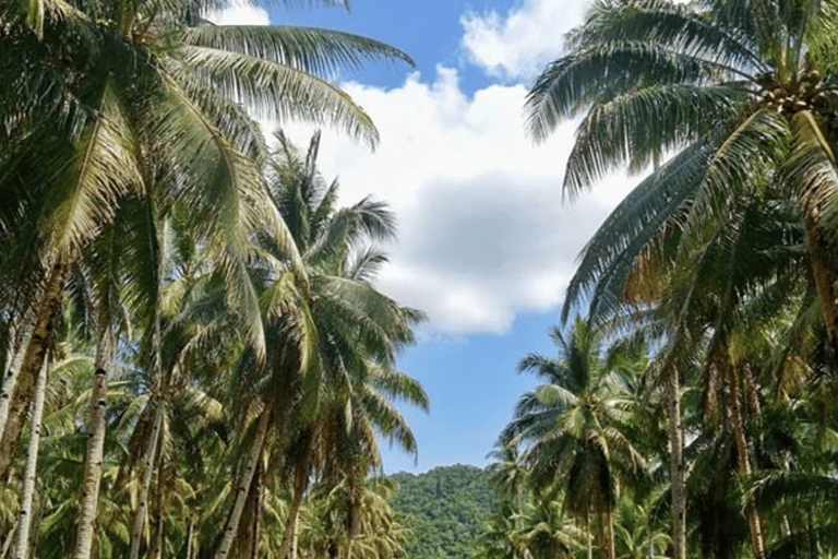 SIARGAO: Landtur med lunch Boodlefight