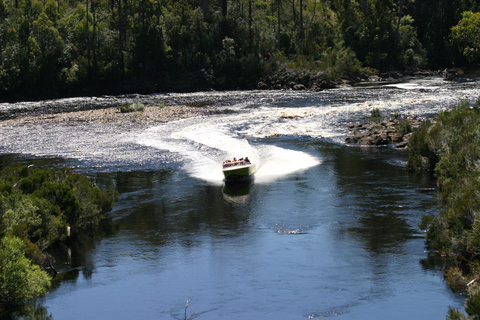 Hobart: Huon River White Water Jet Boat Ride