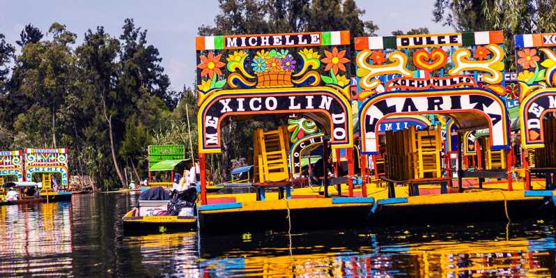 Mexico City: Xochimilco, Coyoacán and University City Tour