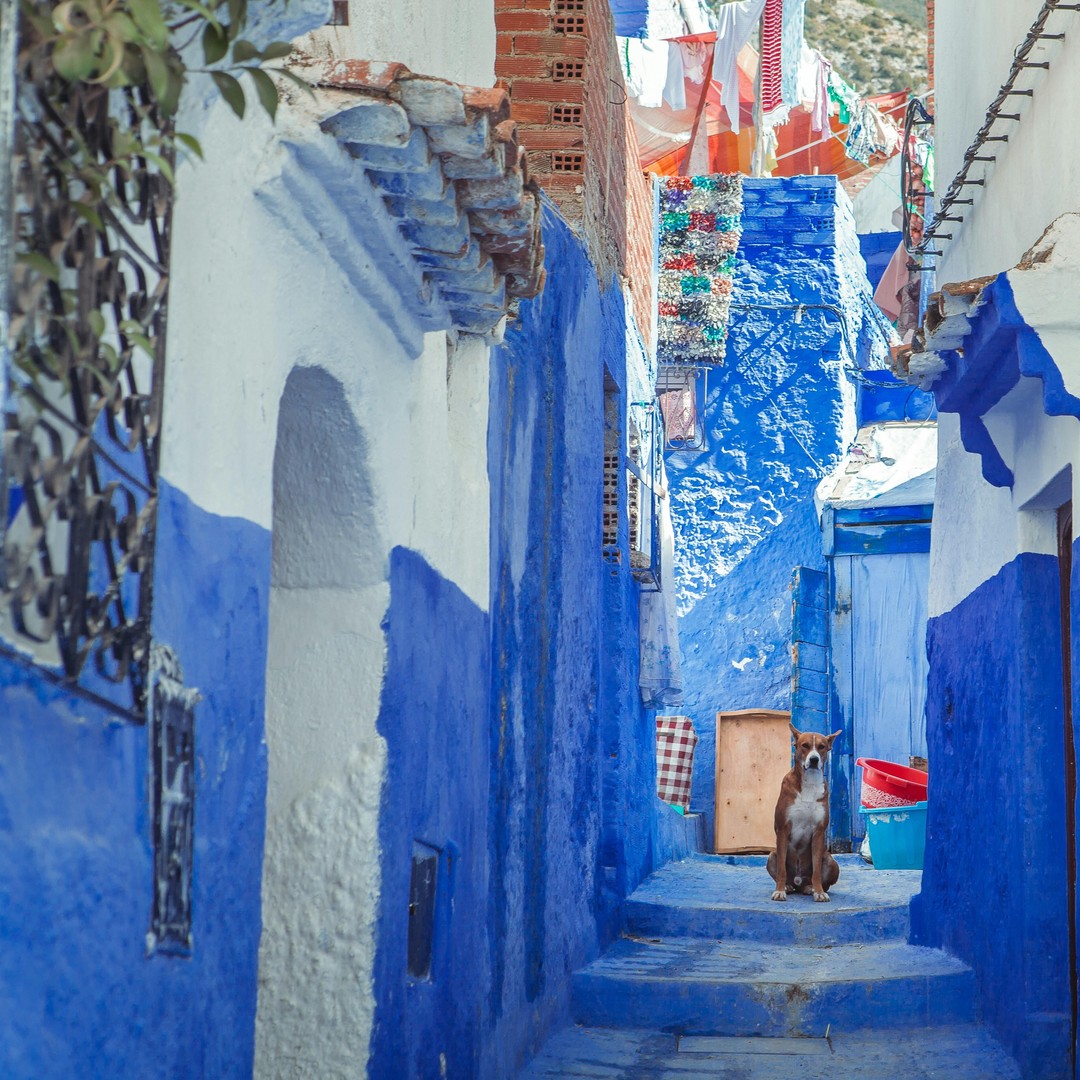 Colagem de mídia