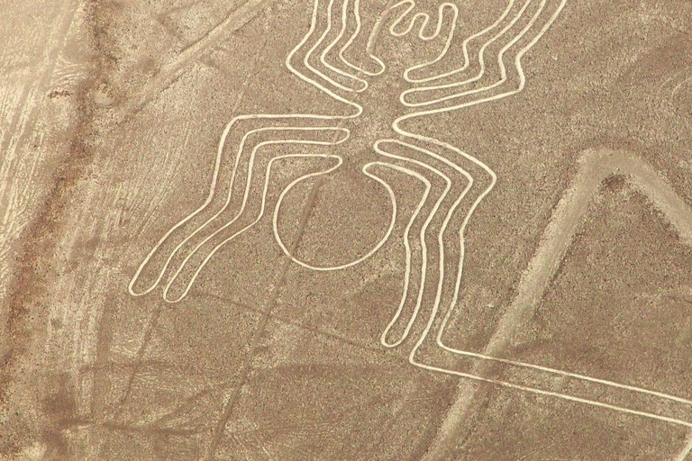 Desde Ica: vuelo sobre las Líneas de Nazca con traslado en autobús