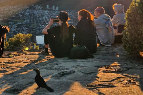 Cape Town: Table Mountain/Lions Head Heritage Hike (choose)