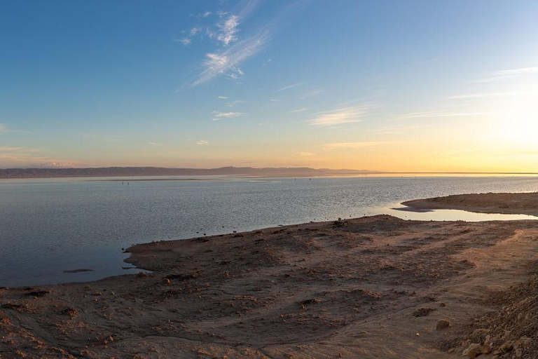 From Djerba: 2-Day Tozeur & Sahara Tour , Oasis & Star Wars