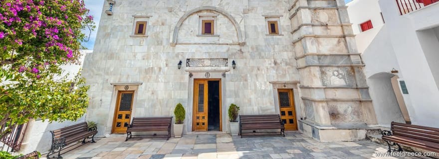 Visite privée de l'île de Mykonos