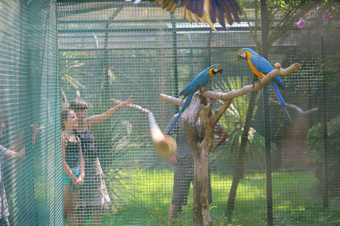 From Batumi: Georgian Amazon & Kolkheti Park Tour