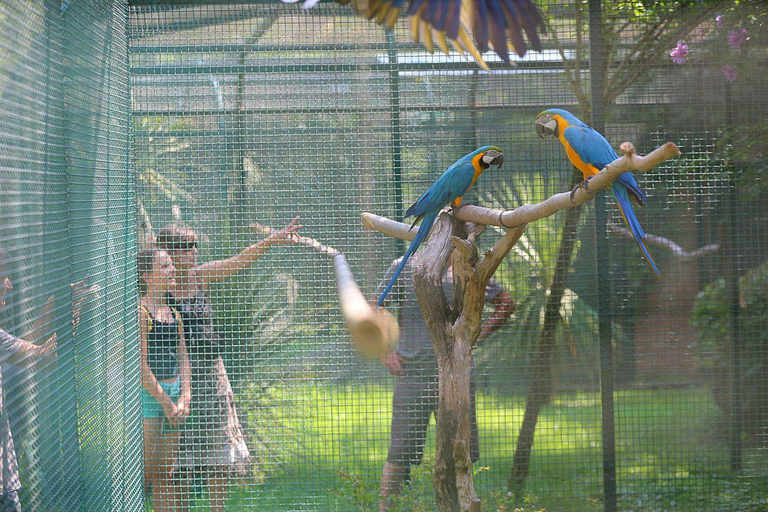 From Batumi: Georgian Amazon & Kolkheti Park Tour