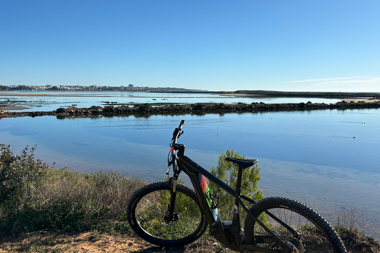 Lagos: Coastal E-Bike Tour with Guide