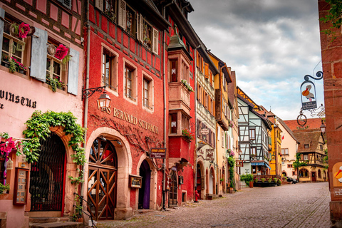 Från Colmar: Alsace vinrutt tur halvdag