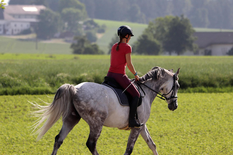 Gold Coast: Scenic Valley Horse Riding Tour