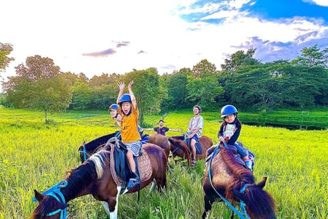 Chiang Mai: Jungle Trail Horse Riding Adventure - Image 2
