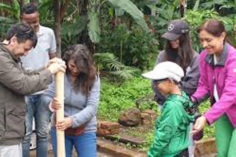 Arusha: Koffieplantage Tour met proeverij en hands-on ...