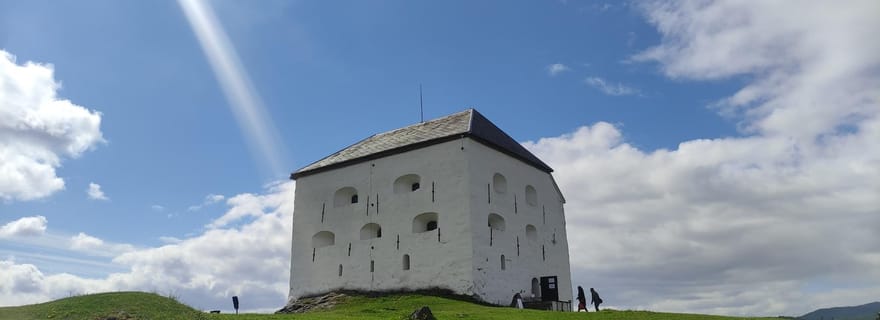 Trondheim : Visite en bus de la ville