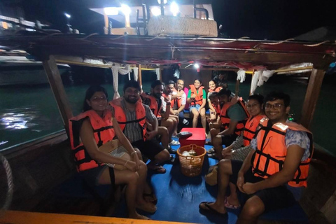 Krabi: Bioluminescent Plankton Night Swim