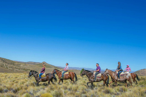Bariloche: Guided horseback rides in the Patagonian steppe