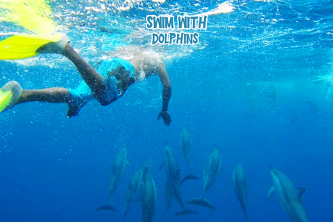 Mauricio: Isla Benitier - Nadar con delfines - Lancha rápida y barbacoa